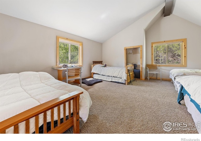 320 Mill St, Eagle, CO 81631 - photo 18