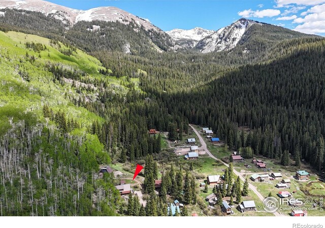 320 Mill St, Eagle, CO 81631 - photo 24
