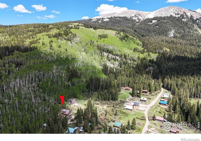 320 Mill St, Eagle, CO 81631 - photo 25