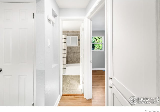 4240 Harlan St, Wheat Ridge, CO 80033 - hallway with light wood-style flooring and baseboards