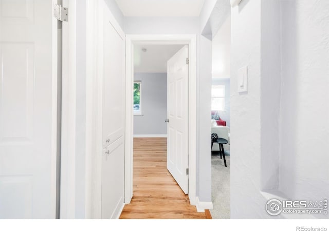 4240 Harlan St, Wheat Ridge, CO 80033 - hallway featuring light wood-type flooring and baseboards