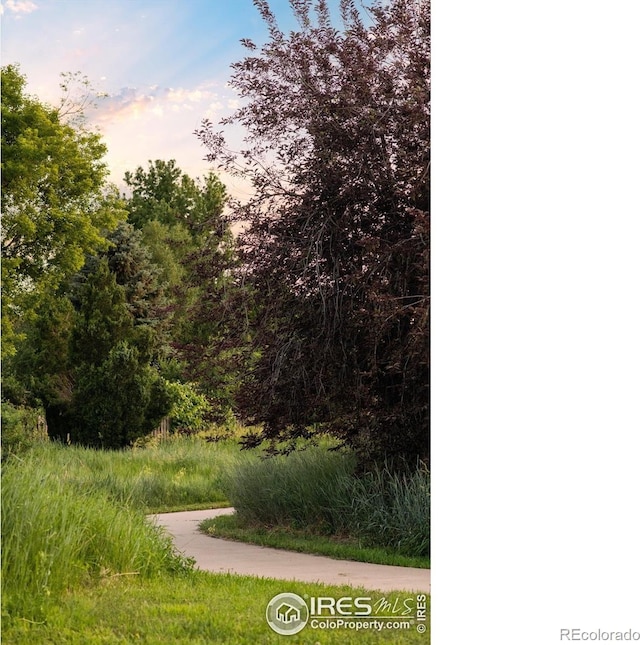 4240 Harlan St, Wheat Ridge, CO 80033 - view of home's community
