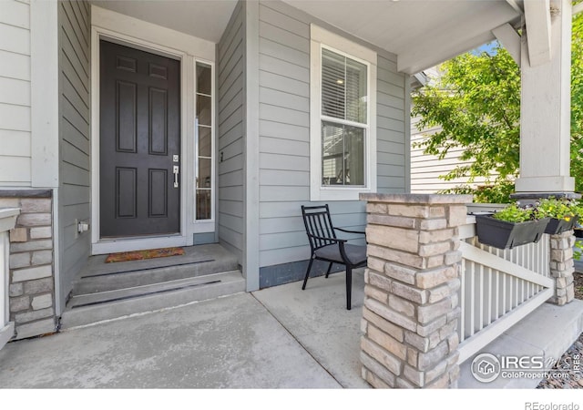 2909 Comet St, Fort Collins, CO 80524 - photo 6