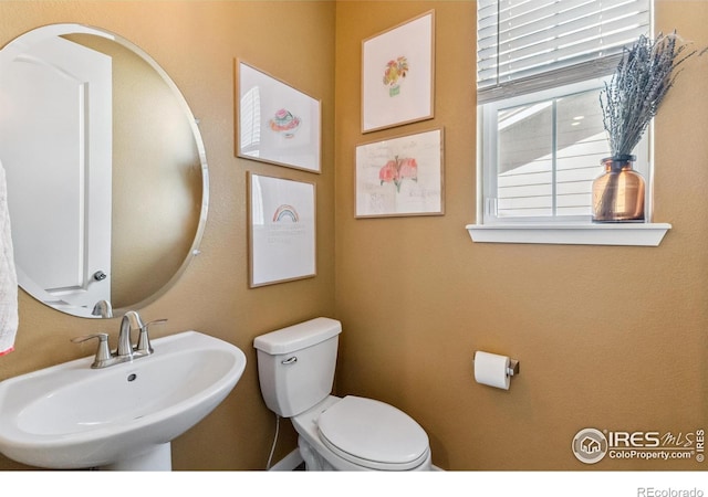 2909 Comet St, Fort Collins, CO 80524 - photo 8