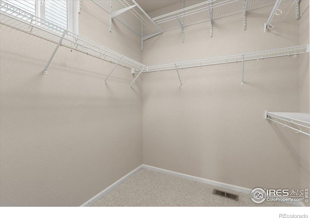 3632 Cassiopeia Ln, Fort Collins, CO 80528 - spacious closet with carpet flooring