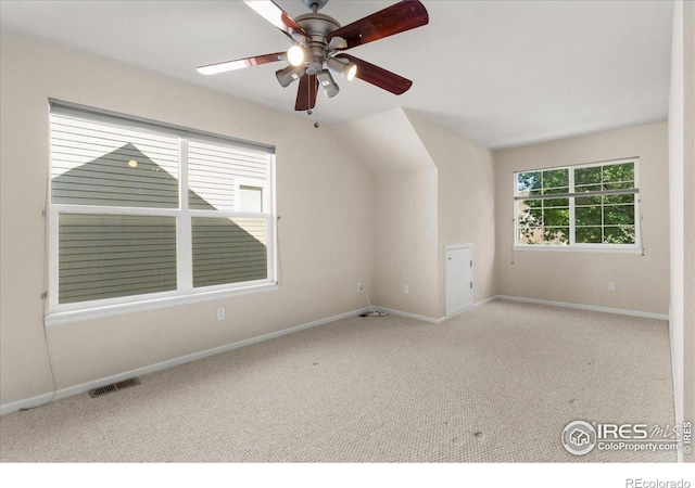 3632 Cassiopeia Ln, Fort Collins, CO 80528 - bonus room with carpet flooring and ceiling fan