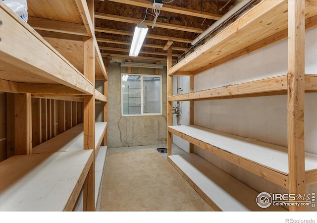 3632 Cassiopeia Ln, Fort Collins, CO 80528 - view of storage area