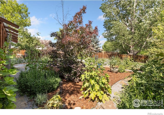 1026 Red Oak Dr, Longmont, CO 80504 - view of yard