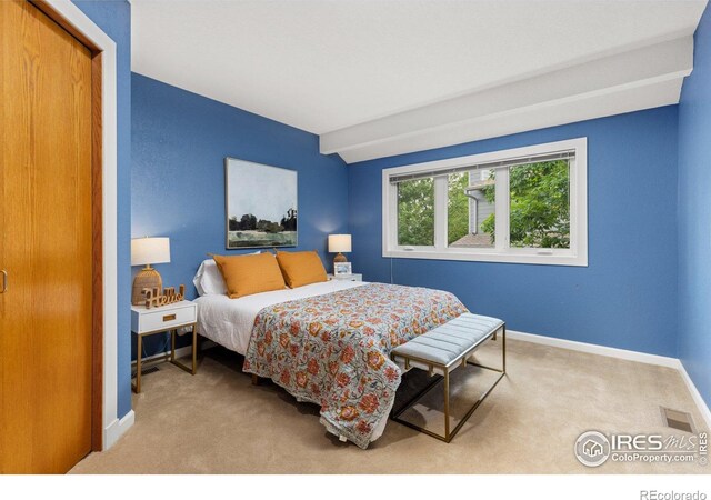 1117 Barberry Ct, Boulder, CO 80305