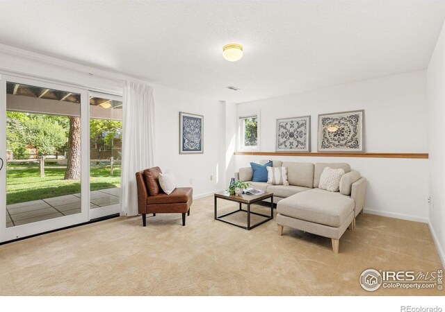 1117 Barberry Ct, Boulder, CO 80305