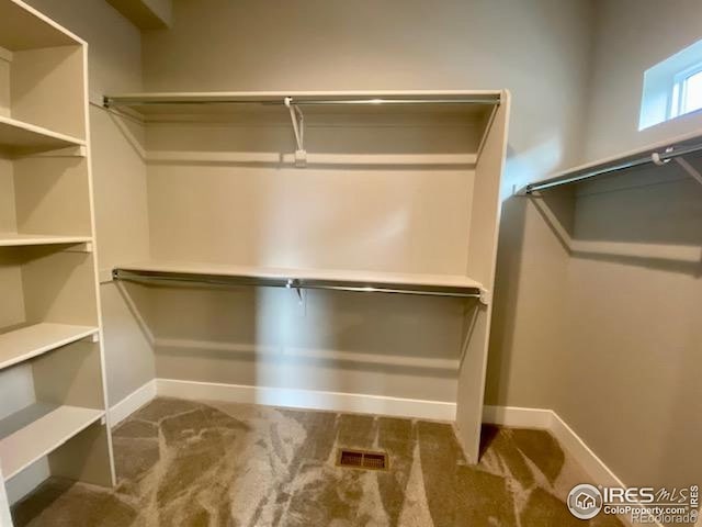 7156 Feather Reed Dr, Wellington, CO 80549 - walk in closet with carpet flooring