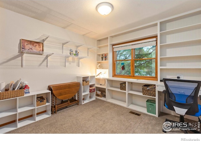 2503 Bismarck Ave, Loveland, CO 80538 - photo 23