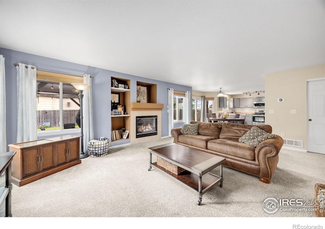 3454 Leopard Pl, Loveland, CO 80537 - photo 10