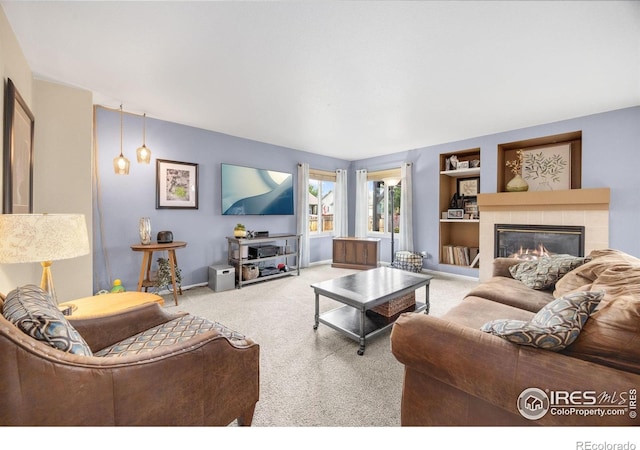 3454 Leopard Pl, Loveland, CO 80537 - photo 12