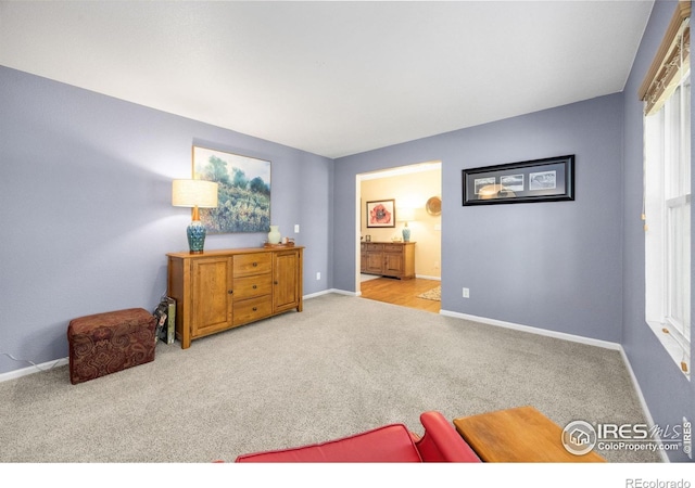 3454 Leopard Pl, Loveland, CO 80537 - photo 15