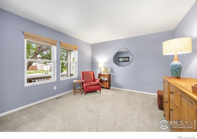 3454 Leopard Pl, Loveland, CO 80537 - photo 16