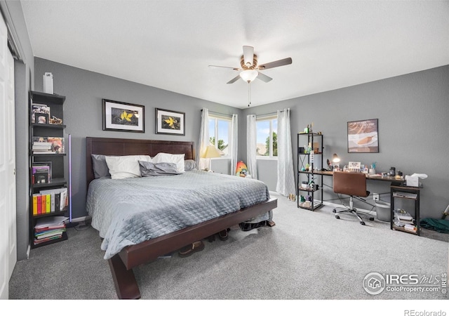 3454 Leopard Pl, Loveland, CO 80537 - photo 24