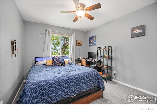 3454 Leopard Pl, Loveland, CO 80537 - photo 26