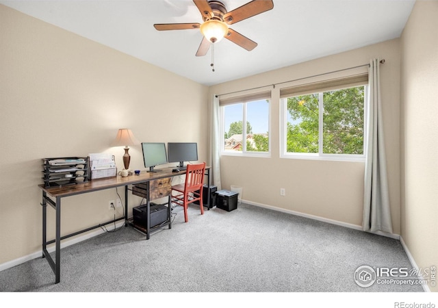 3454 Leopard Pl, Loveland, CO 80537 - photo 28