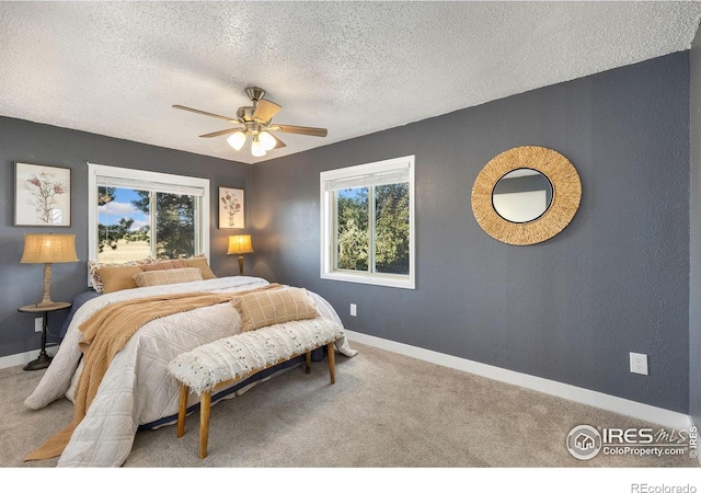 4700 County Road 38, Platteville, CO 80651 - photo 12