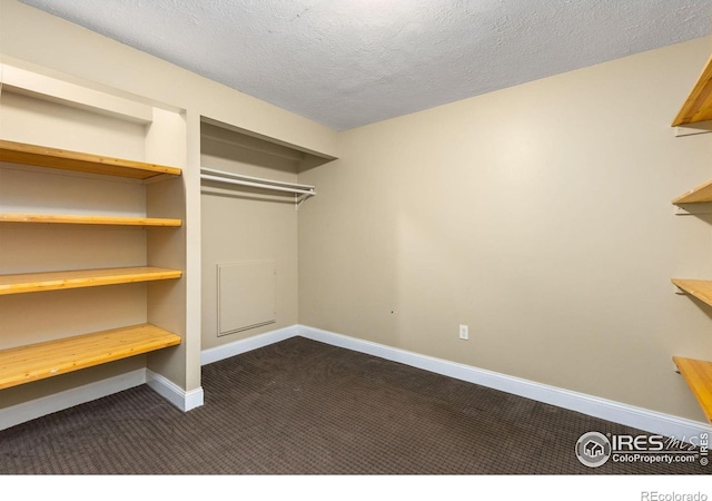 142 S Fillmore Ave, Louisville, CO 80027 - photo 24
