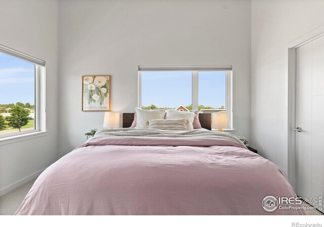 225 Green Leaf St Unit 1, Fort Collins, CO 80524 - photo 24