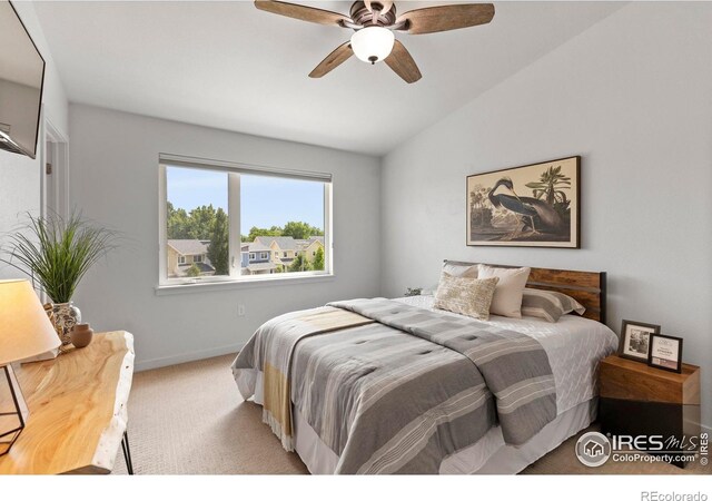 225 Green Leaf St Unit 1, Fort Collins, CO 80524 - photo 28