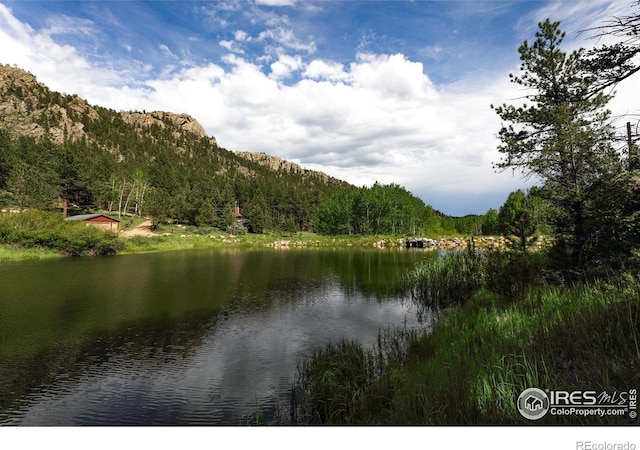 451 Cedar Dr, Lyons, CO 80540 - photo 2