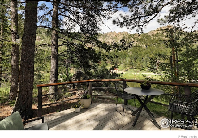 451 Cedar Dr, Lyons, CO 80540 - photo 8