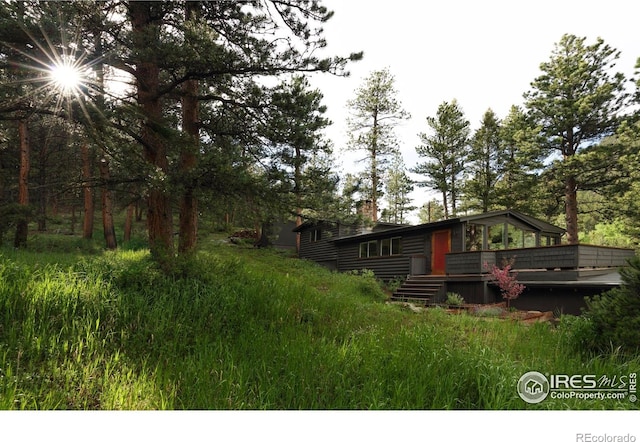 451 Cedar Dr, Lyons, CO 80540 - photo 27