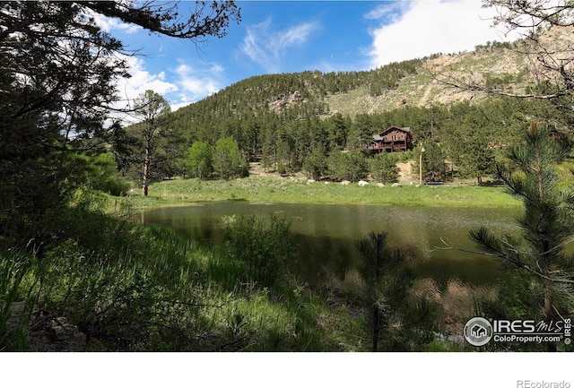 451 Cedar Dr, Lyons, CO 80540 - photo 32