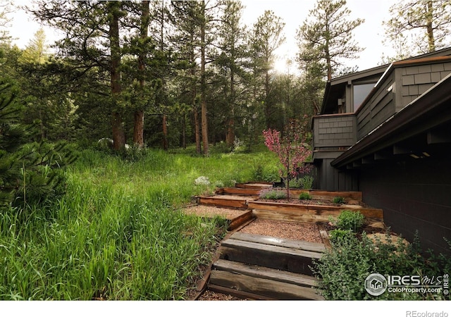 451 Cedar Dr, Lyons, CO 80540 - photo 35