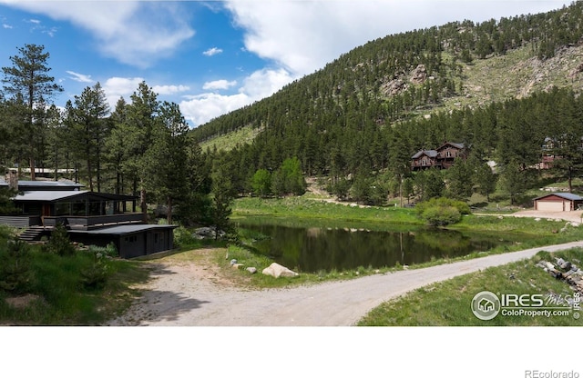 451 Cedar Dr, Lyons, CO 80540 - photo 36