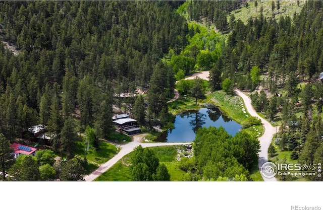 451 Cedar Dr, Lyons, CO 80540 - photo 37