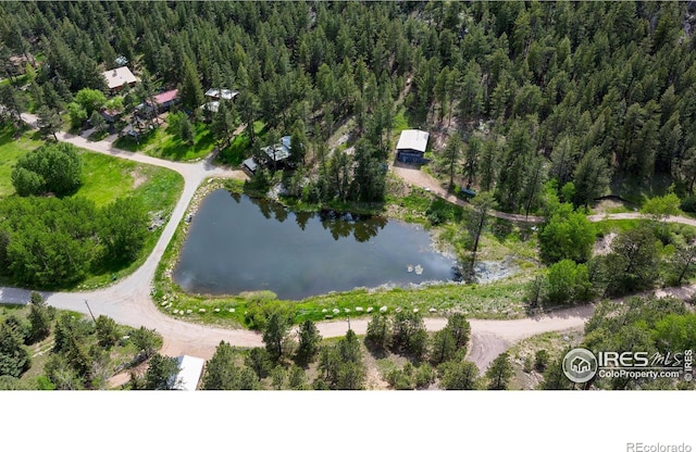 451 Cedar Dr, Lyons, CO 80540 - photo 38
