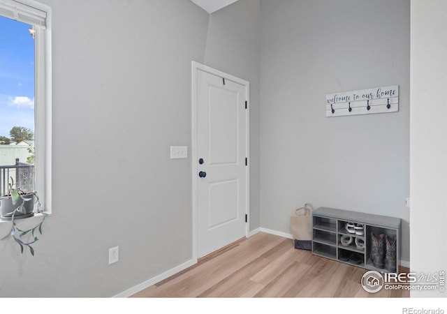 3644 Ronald Reagan Ave, Wellington, CO 80549 - foyer with wood finished floors and baseboards