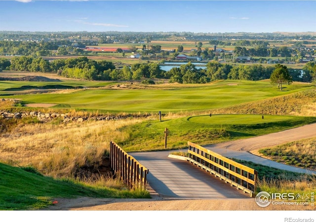 2086 Autumn Moon Dr Unit 7, Windsor, CO 80550 - photo 6