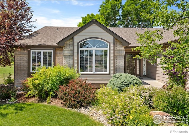 4988 Hames Ct, Loveland, CO 80537 - photo 5