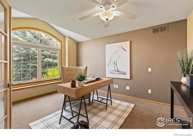 4988 Hames Ct, Loveland, CO 80537 - photo 21
