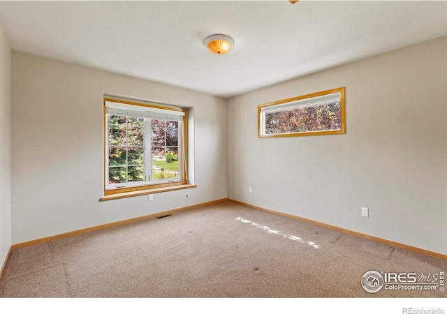 4988 Hames Ct, Loveland, CO 80537 - photo 23