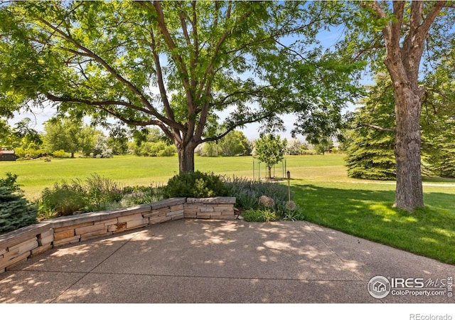 4988 Hames Ct, Loveland, CO 80537 - photo 31