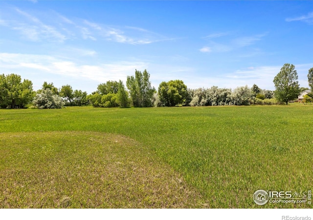 4988 Hames Ct, Loveland, CO 80537 - photo 37