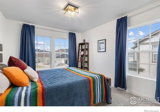91 Westerly Blvd, Erie, CO 80516 - photo 24