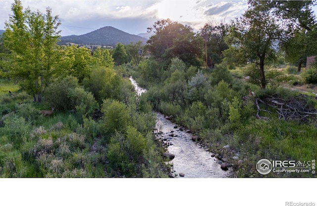 108 Lonestar Rd, Lyons, CO 80540 - view of mountain background featuring a forest