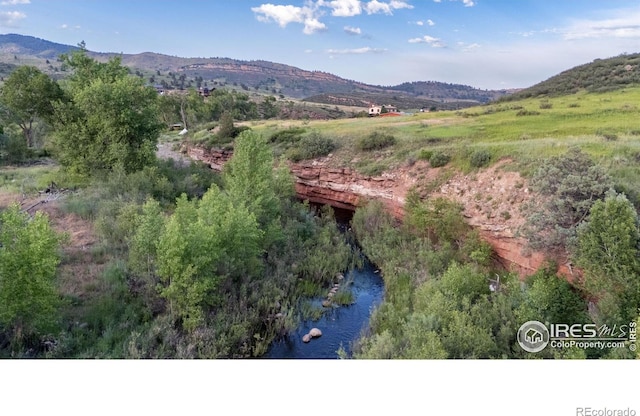 108 Lonestar Rd, Lyons, CO 80540 - mountain view