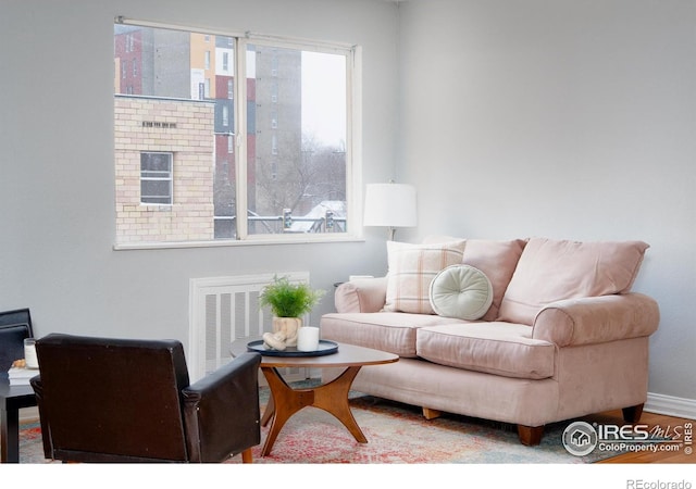 1100 Colorado Blvd Unit 305, Denver, CO 80206 - living area with baseboards and wood finished floors