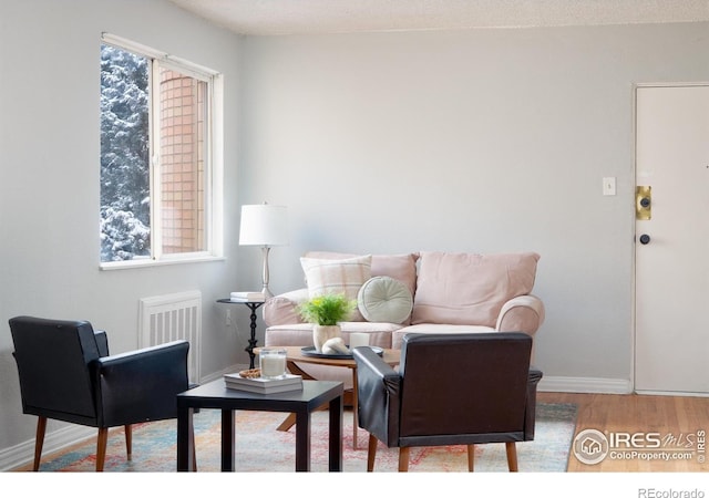 1100 Colorado Blvd Unit 305, Denver, CO 80206 - living room with wood finished floors and radiator