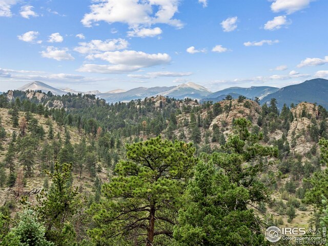 6260 County Road 43rd Rd, Estes Park, CO 80517 - photo 3