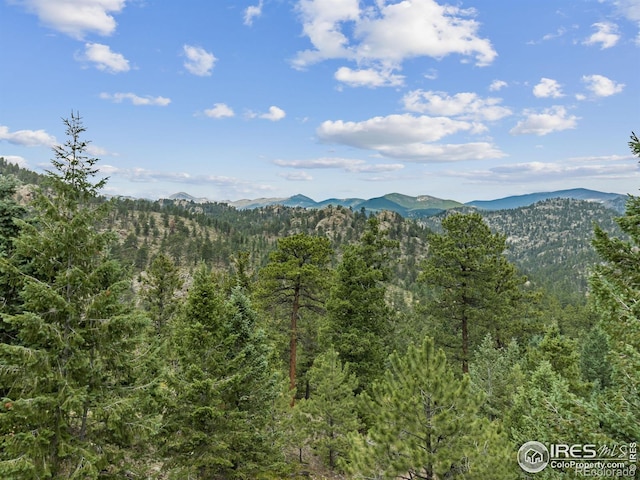 6260 County Road 43rd Rd, Estes Park, CO 80517 - photo 7