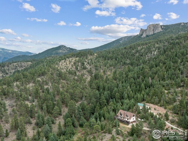 6260 County Road 43rd Rd, Estes Park, CO 80517 - photo 8